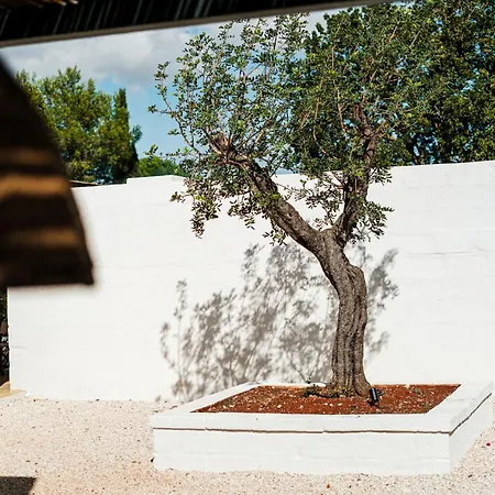 Villa Dimora Anahata - Infinity Pool & Outdoor Dining Area In Ostuni